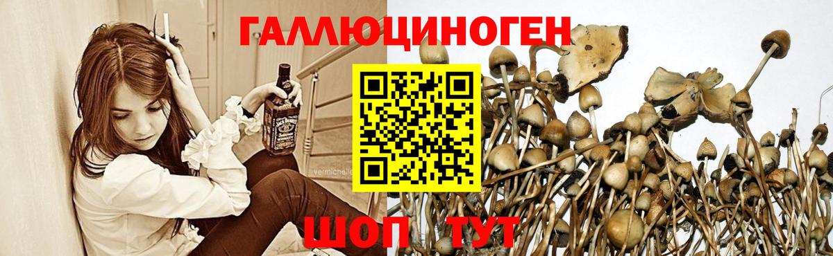 Псилоцибиновые грибы мицелий Мирный