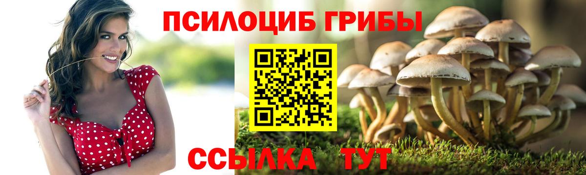 Мирный  Галлюциногенные грибы мицелий  Галлюциногенные грибы мухоморы  Вход с VPN 